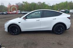 تسلا موديل Y